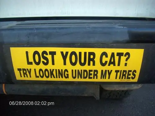 Hai perso il gatto? Prova a guardare sotto le mie ruote!