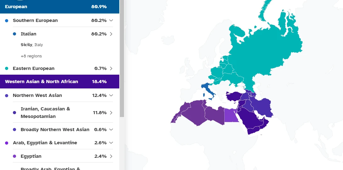 Un grafico riassume la composizione del mio DNA: sud europeo all'80%, nord africano al 18%