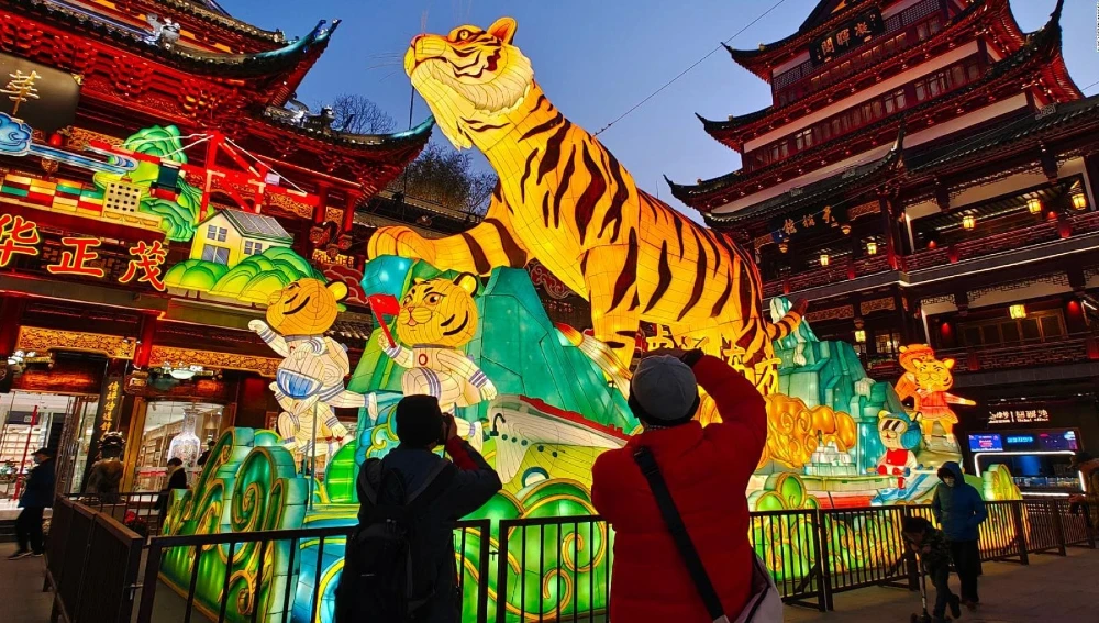 Tigri in esposizione per il capodanno cinese