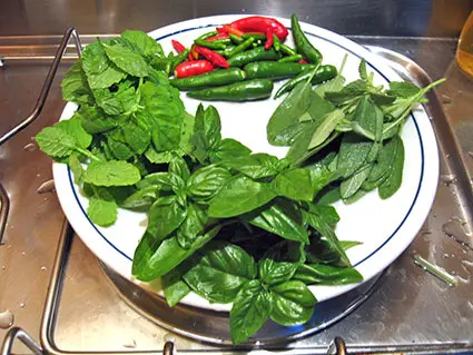 peperoncini, salvia, menta e basilico su un piatto