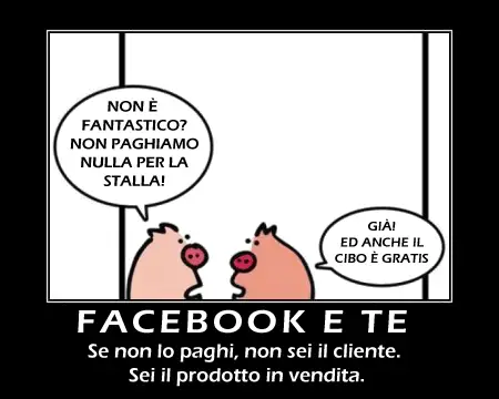 Due maiali parlano. Il primo dice: non è fantastico? non paghiamo nulla per la stalla! Il secondo risponde: già, anche il cibo è gratis. Sottotitolo: facebook e te, se non lo paghi, non sei il cliente, sei il prodotto in vendita.