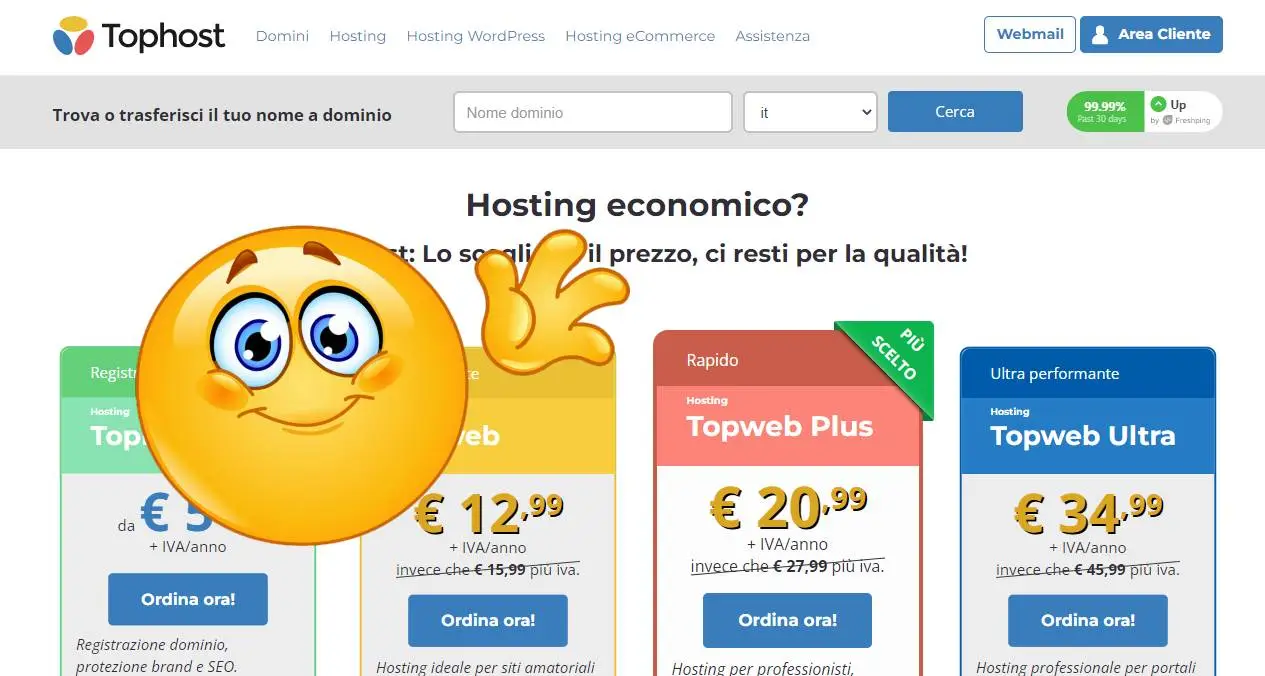 Lo screenshot della pagina di benvenuto di Tophost con un emoji che saluta