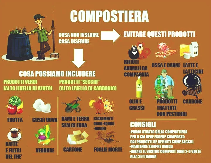 Grafico con le regole di cosa mettere nella compostiera