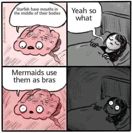 Dialogo tra una ragazza che cerca di prendere sonno ed il suo cervello: - Le stelle marine hanno la bocca al centro. - E allora? - Le sirenette le usano come reggiseni!