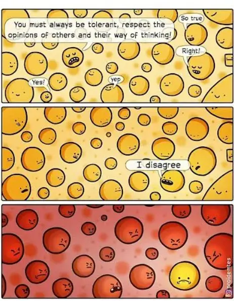 Una vignetta in cui una persona dice che dobbiamo essere tutti tolleranti, ma quando un'altra dice di non essere d'accordo, tutti la guardano male