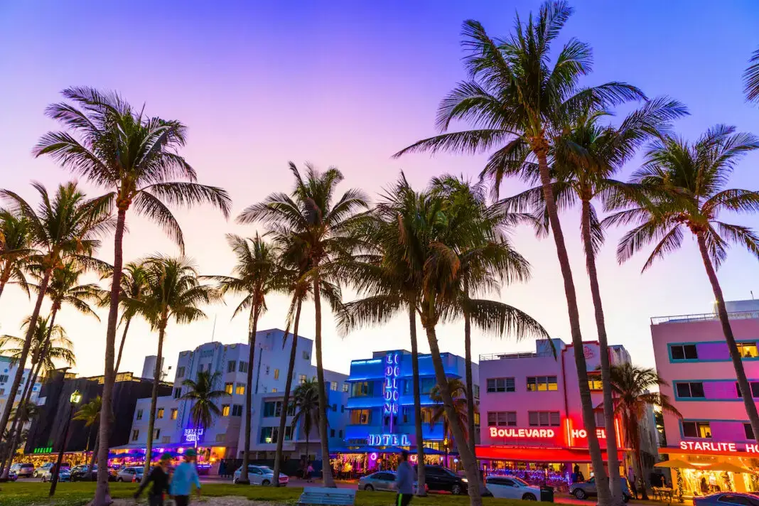 Palazzi a Miami circondati dai tipici alberi di palma da cocco