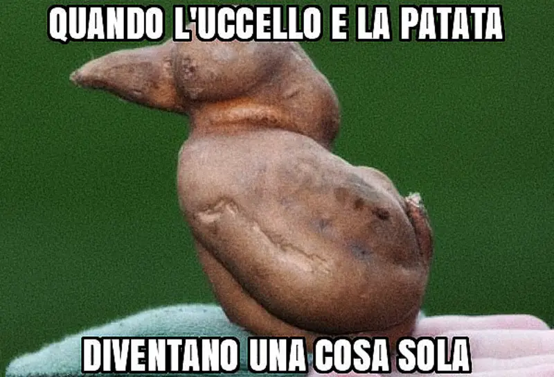 Quando l'uccello e la patata diventano una cosa sola...