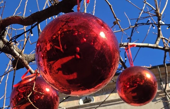 Una palla natalizia appesa ad un albero